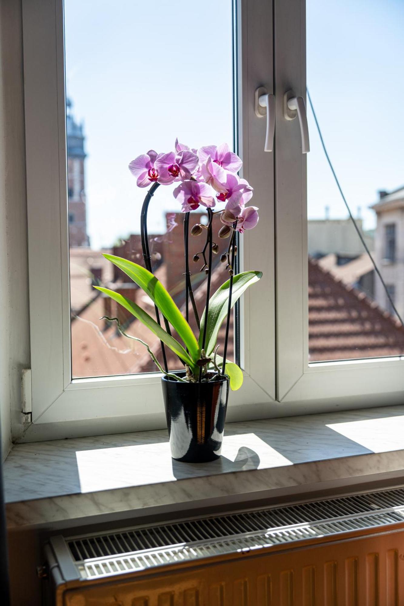 Vista View Apartment Krakow Ngoại thất bức ảnh
